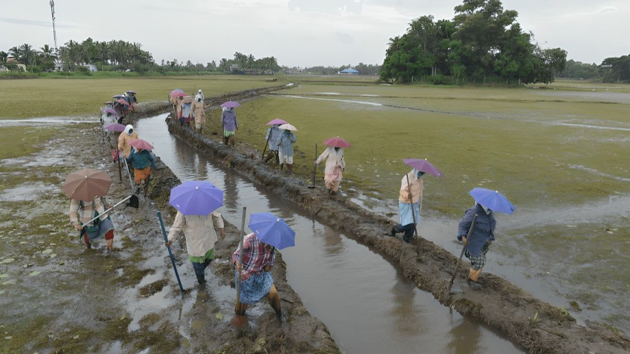 Sustainable Agriculture